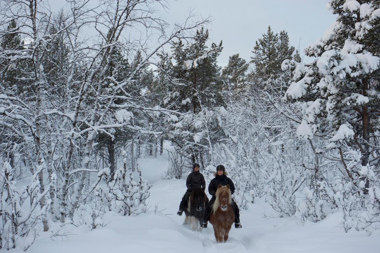 Ofelas Islandshaestar & Guideservice Kiruna Exterior foto
